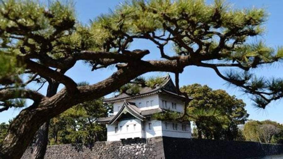 Япония отказалась от аудиенции Путина у императора Акихито