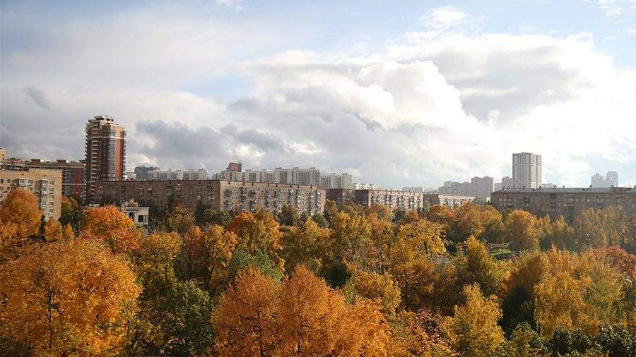 Погода на мошенской район
