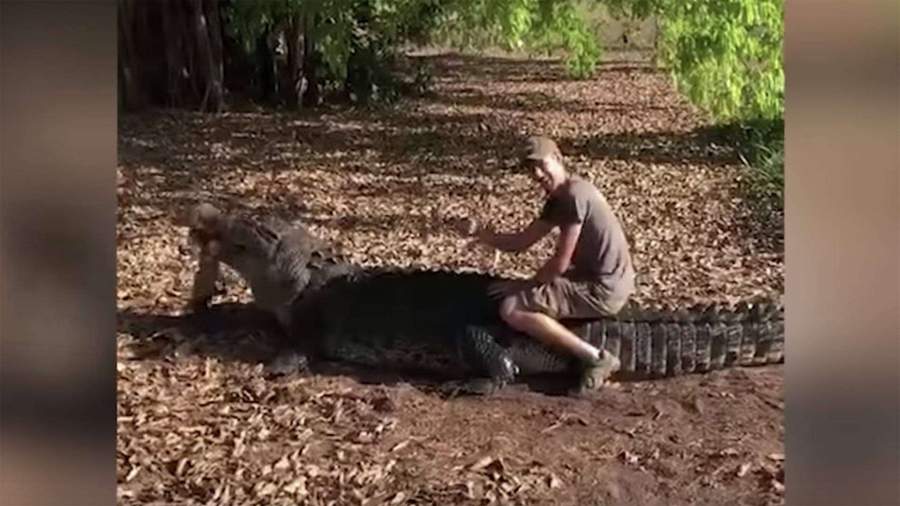 Турист из Дании оседлал пятиметрового крокодила