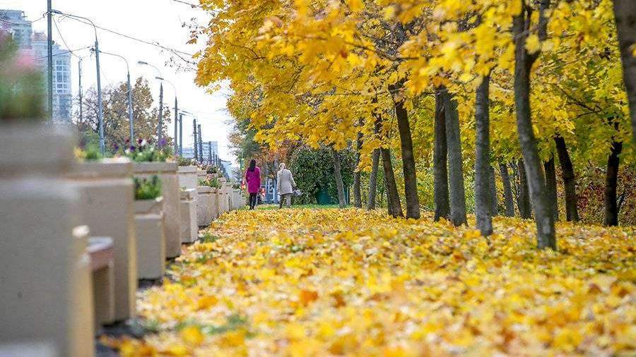 Самый жаркий летний день в москве