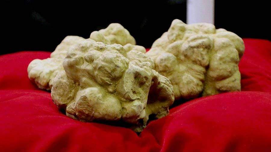 White Truffle Slices, HD Png Download - kindpng