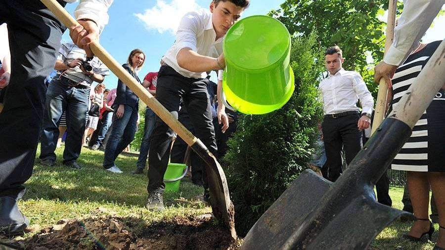 Летняя практика в школе картинки