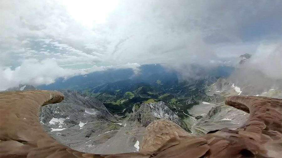 С помощью камеры GoPro орёл снят Альпы