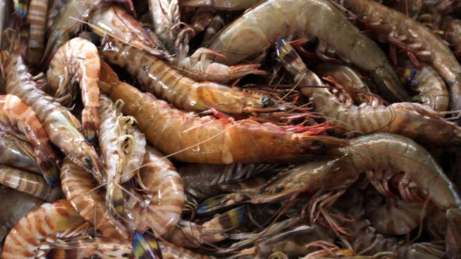 Китайские Морепродукты Фото