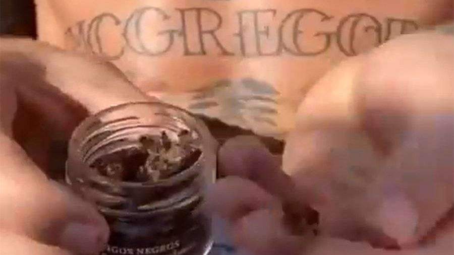 Макгрегор опубликовал видео с поеданием шершней
