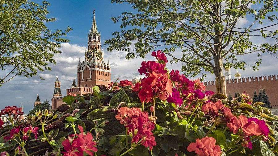 Что цветет в середине июля в москве. Смотреть фото Что цветет в середине июля в москве. Смотреть картинку Что цветет в середине июля в москве. Картинка про Что цветет в середине июля в москве. Фото Что цветет в середине июля в москве