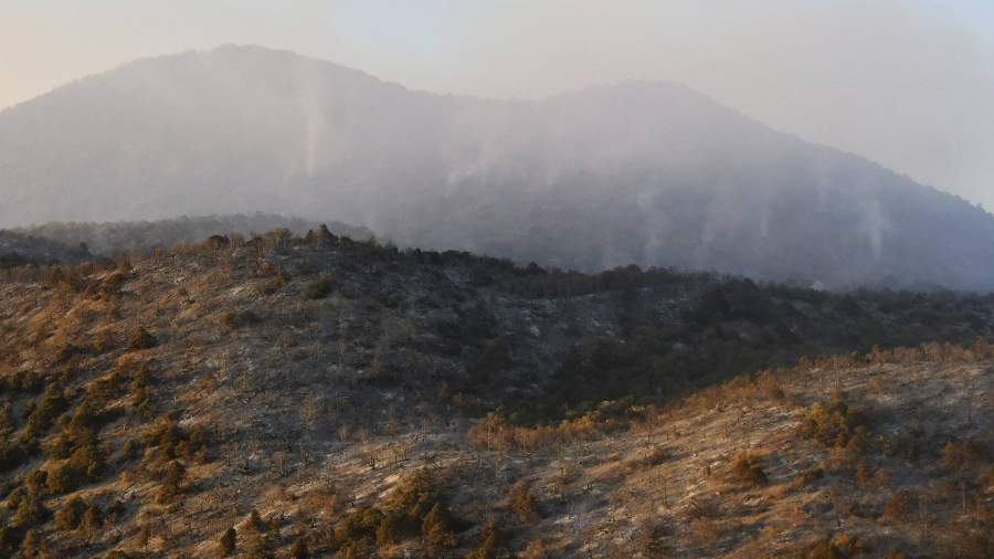 Лесные пожары