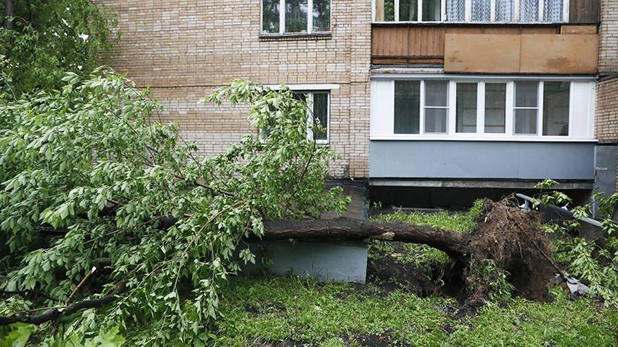 что горит на юго востоке москвы сейчас 17 июля 2021. Смотреть фото что горит на юго востоке москвы сейчас 17 июля 2021. Смотреть картинку что горит на юго востоке москвы сейчас 17 июля 2021. Картинка про что горит на юго востоке москвы сейчас 17 июля 2021. Фото что горит на юго востоке москвы сейчас 17 июля 2021