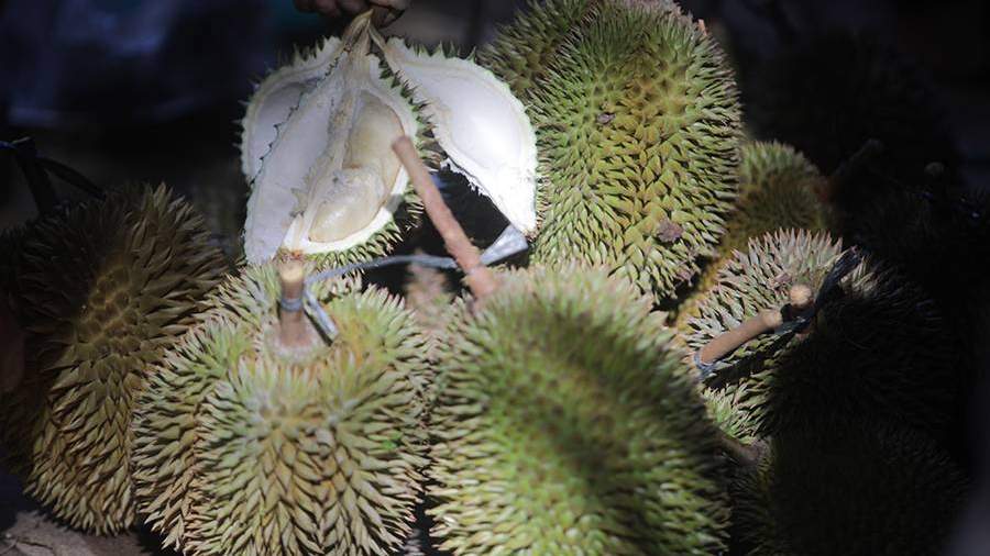 самые жуткие блюда китая. Смотреть фото самые жуткие блюда китая. Смотреть картинку самые жуткие блюда китая. Картинка про самые жуткие блюда китая. Фото самые жуткие блюда китая самые жуткие блюда китая. Смотреть фото самые жуткие блюда китая. Смотреть картинку самые жуткие блюда китая. Картинка про самые жуткие блюда китая. Фото самые жуткие блюда китая