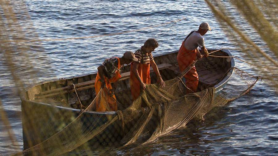 ловля рыбы на сети на амуре. Смотреть фото ловля рыбы на сети на амуре. Смотреть картинку ловля рыбы на сети на амуре. Картинка про ловля рыбы на сети на амуре. Фото ловля рыбы на сети на амуре ловля рыбы на сети на амуре. Смотреть фото ловля рыбы на сети на амуре. Смотреть картинку ловля рыбы на сети на амуре. Картинка про ловля рыбы на сети на амуре. Фото ловля рыбы на сети на амуре