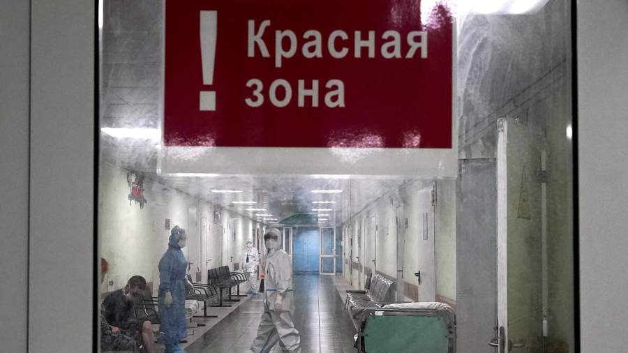 что такое гости красные. Смотреть фото что такое гости красные. Смотреть картинку что такое гости красные. Картинка про что такое гости красные. Фото что такое гости красные