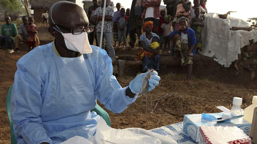 At least 80 people died of Lassa fever in Nigeria in 2021