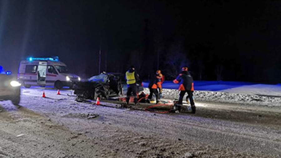 Ten people were injured in an accident with minibuses near Murmansk