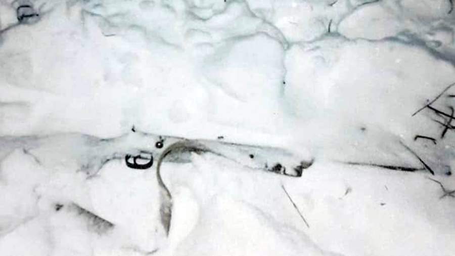 The case was opened against a traffic police officer after an illegal hunt near Kaluga