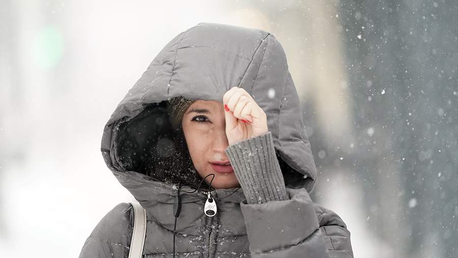 More than 40% of the monthly norm of precipitation fell per day in the Moscow region