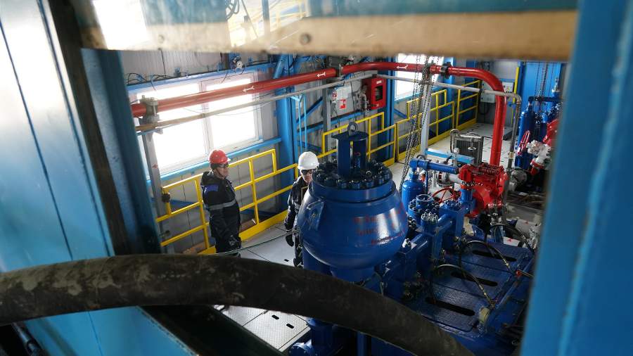 Putin noted readiness to increase energy supplies to European countries