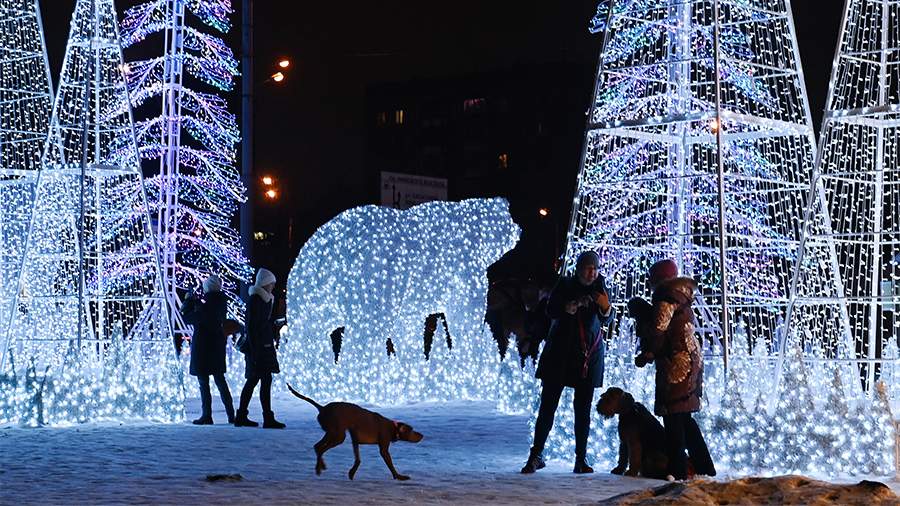 Dog handlers named the dangers for dogs on New Year’s Eve