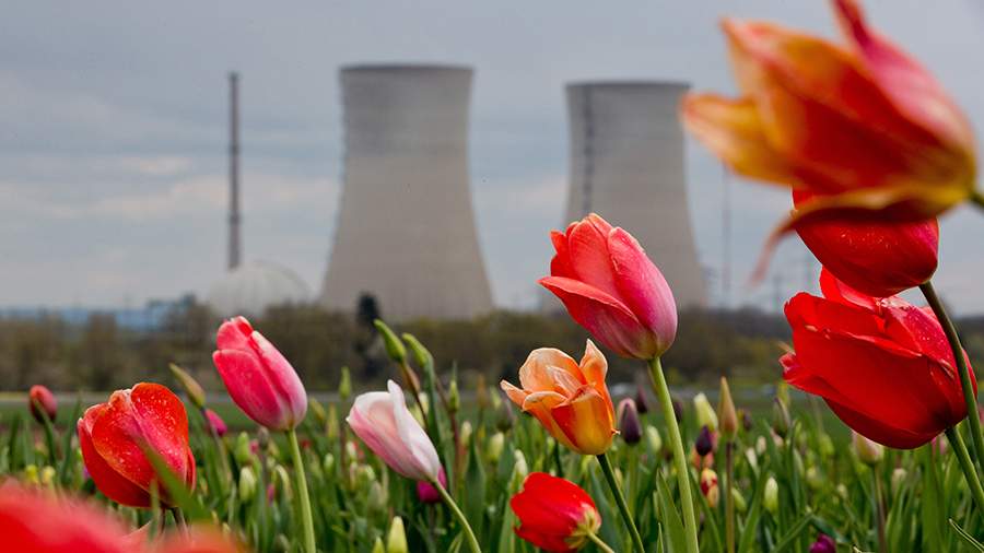 Political scientist called Germany’s refusal of atomic energy a mistake