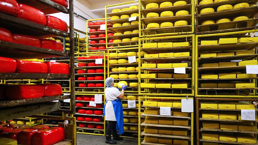 Putin commented on the situation in the field of import substitution