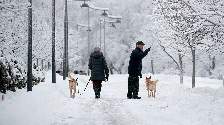 Doctor Khukhrev gave advice on safety measures in frosty weather