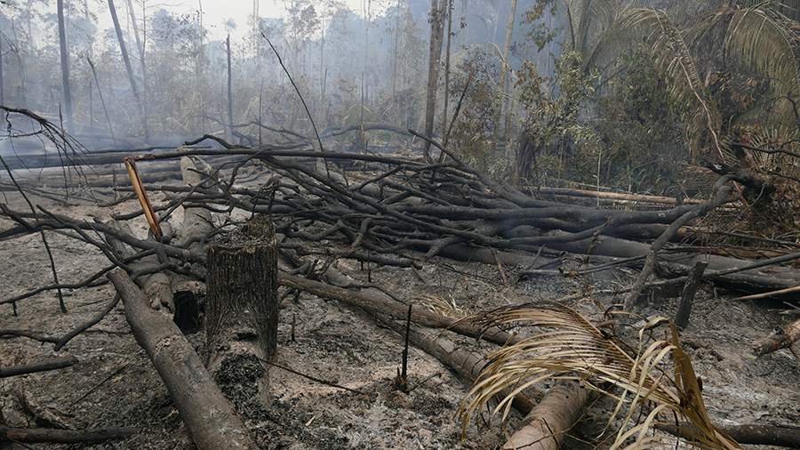 British professor warns of sixth wave of mass extinction