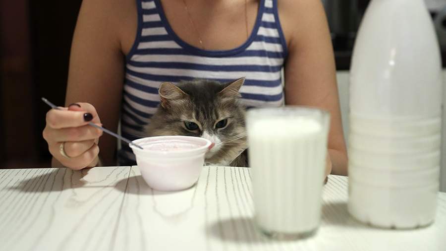 The doctor called the signs of lactose intolerance