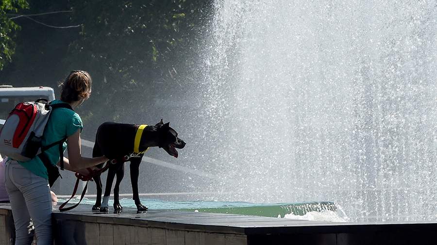 Scientists have named 2021 one of the warmest in history