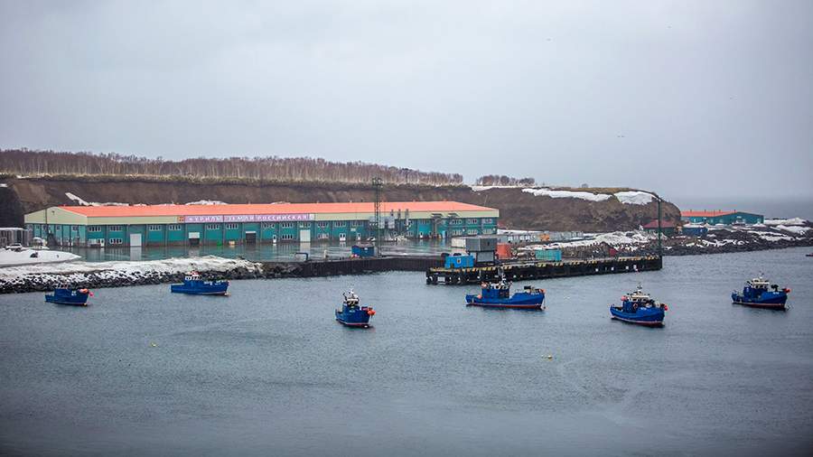 The law on the special regime in the Kuril Islands may be adopted in the spring