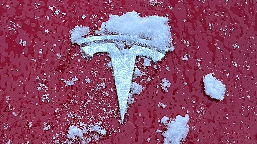Tesla Model 3 electric cars appeared in Delimobil carsharing
