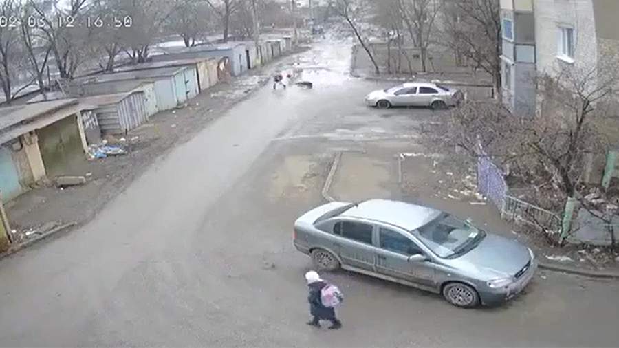 A pack of stray dogs attacked a schoolgirl in Astrakhan
