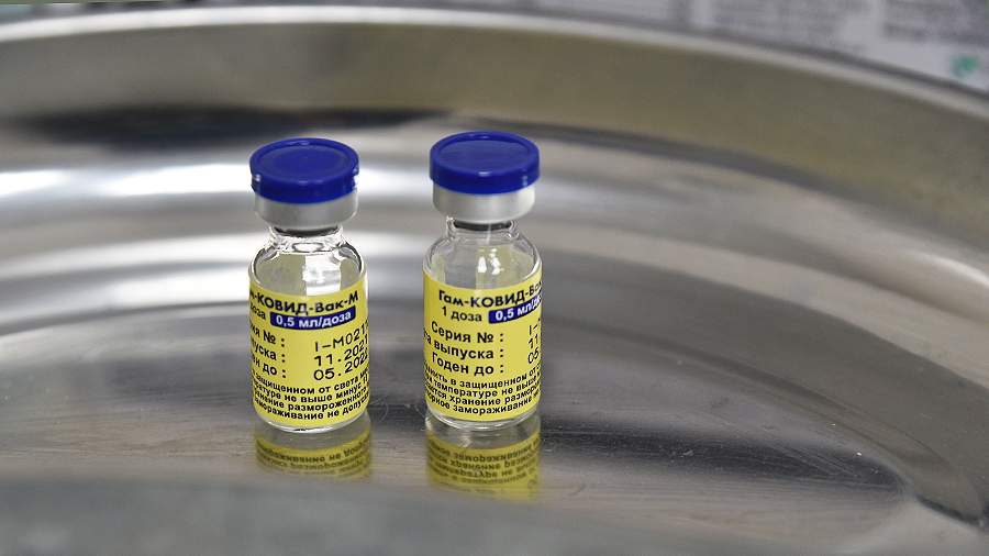 Putin announced the process of registration of the Sputnik M vaccine in Argentina