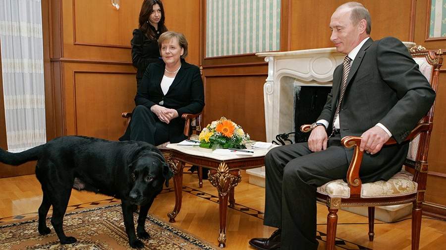Peskov commented on the incident with Putin’s Labrador who frightened Merkel