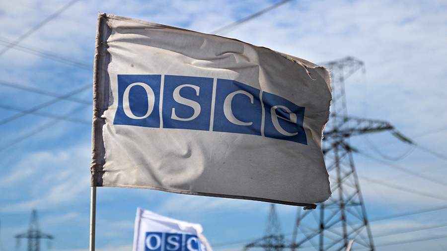 The Federation Council questioned Poland’s membership in the OSCE after the announcement of the supply of weapons to Kiev