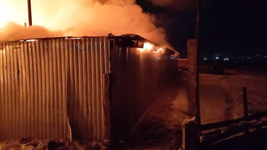 About 200 pigs died in a fire in the Irkutsk region