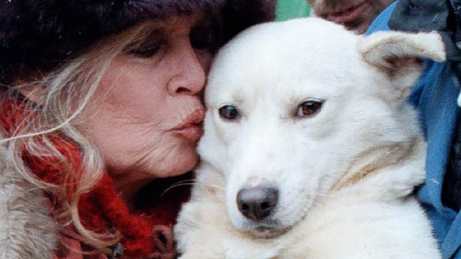 Brigitte Bardot spoke about two of her lives