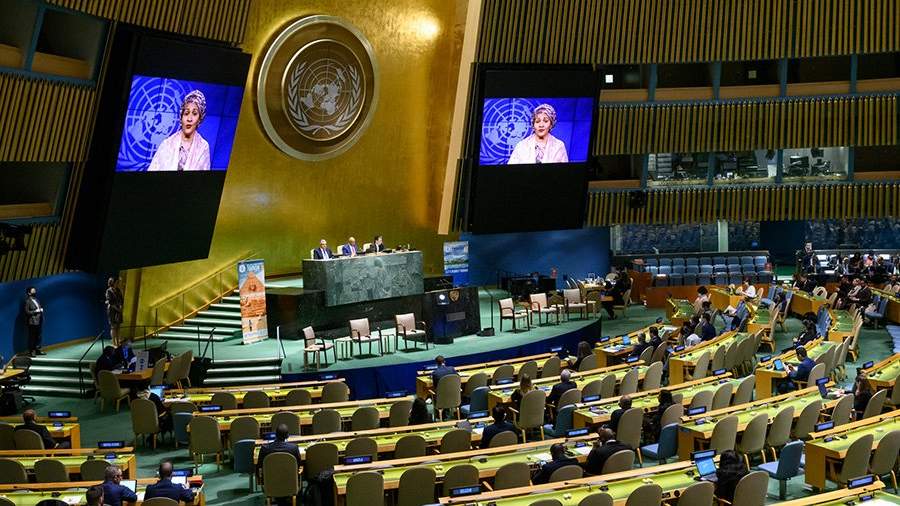 Заседание ООН