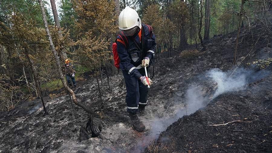 Площадь пожаров в РФ превысила средние показатели за 20 лет наблюдений ...