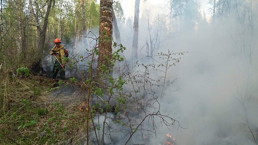В лесах Красноярского края потушили природные пожары
