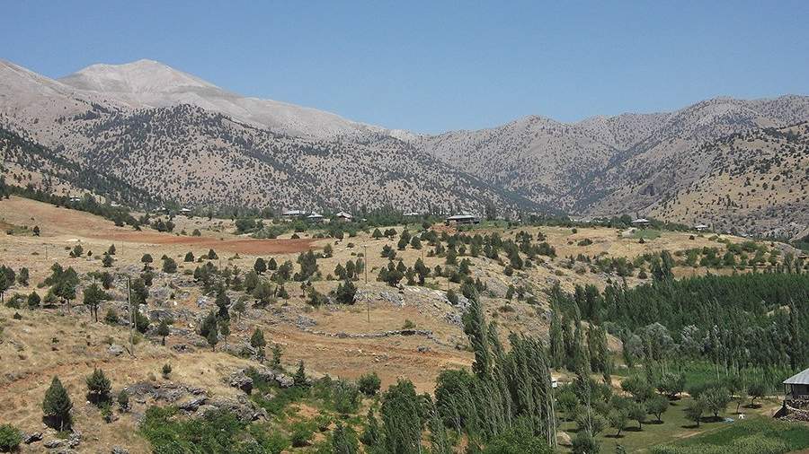 Гексун чам фото