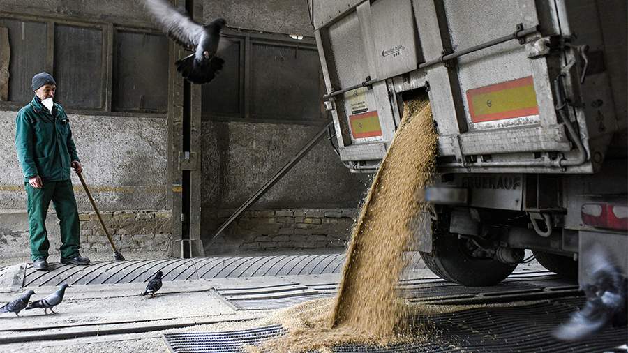 Зеленский намерен обратиться в арбитражный суд из-за ограничений на импорт зерна в ЕС