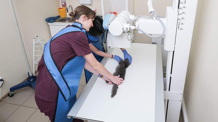 Онкологи пересмотрели диагностику рака - важные новые открытия и передовые технологии исследования Онкологи пересмотрели диагностику рака: новые узнанные факты и технологии