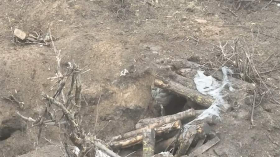 Орлан беспилотник сбитый. Подбит беспилотник. Spectator бпла. Армения сбила беспилотник азербайджана. Бпла украины spectator.