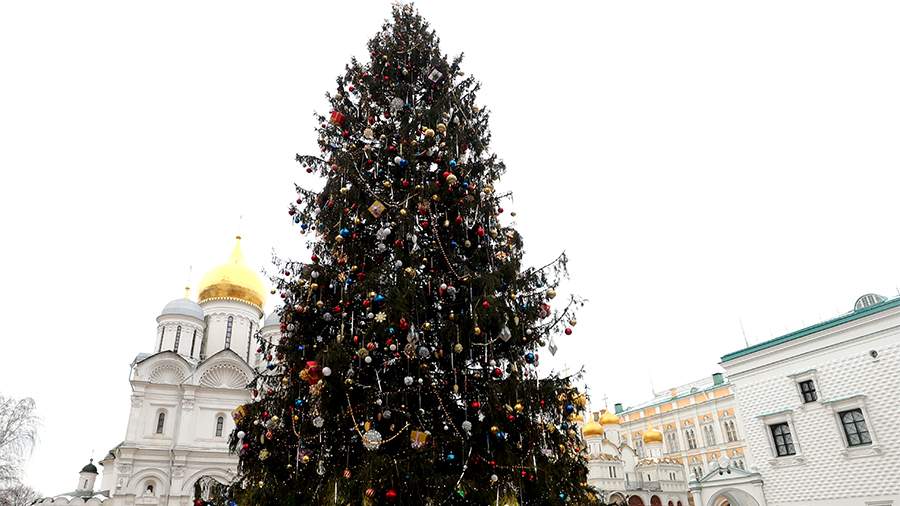 В Москве украсили главную новогоднюю елку | Новости общества | Известия ...