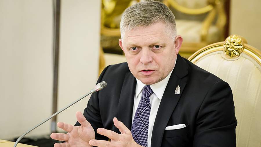 Фицо сравнил желание ЕС прекратить импорт энергосырья из РФ с выстрелом в колено