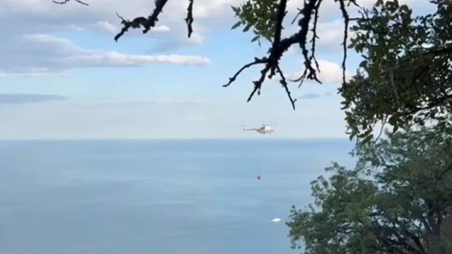 
                    В минприроды Крыма назвали причину лесного пожара в Алуште

        