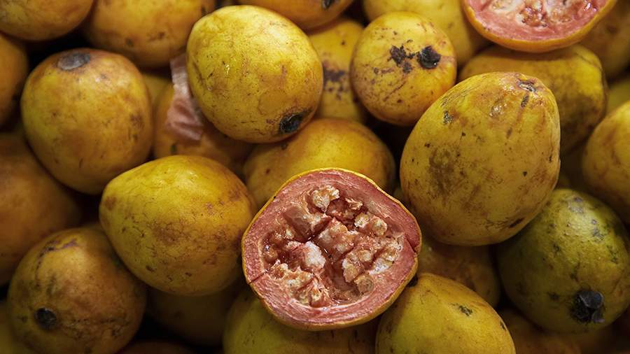 Биотехнолог раскрыла главное достоинство фейхоа