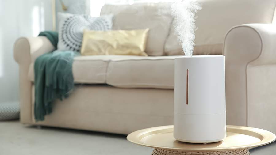 Врач предупредила о вреде увлажнителя воздуха для глаз