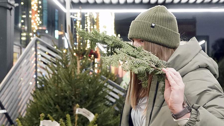 Врач объяснил разницу между аллергией на хвойные и простудой