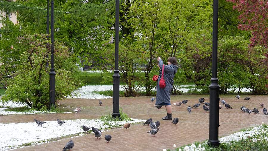 Красивые открытки с 1 марта от «Известий»