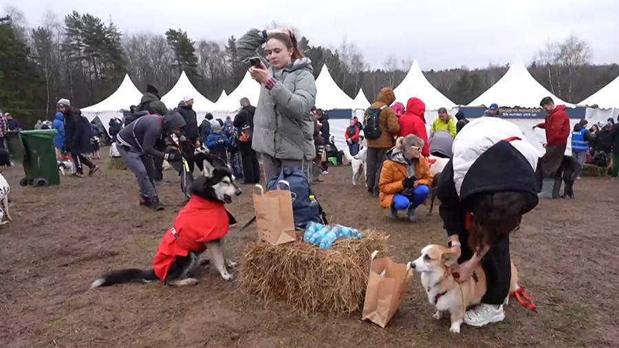 Кросс «Быстрый пес» в Москве